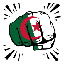 Drapeau Algérie Coup de poing, un accessoire stylé pour bébé, idéal pour ajouter une touche d\'originalité à ses vêtements.