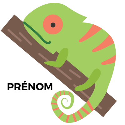 Tétine Camelion pour bébé, douce et colorée, idéale pour apaiser votre petit. Découvrez-la sur bebe-prenom.com.