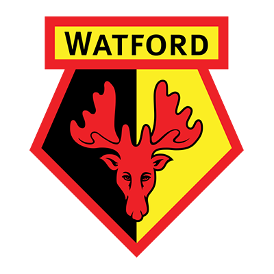 Tétine et accessoires Watford Football Club pour bébés, alliant style et confort sur bebe-prenom.com.